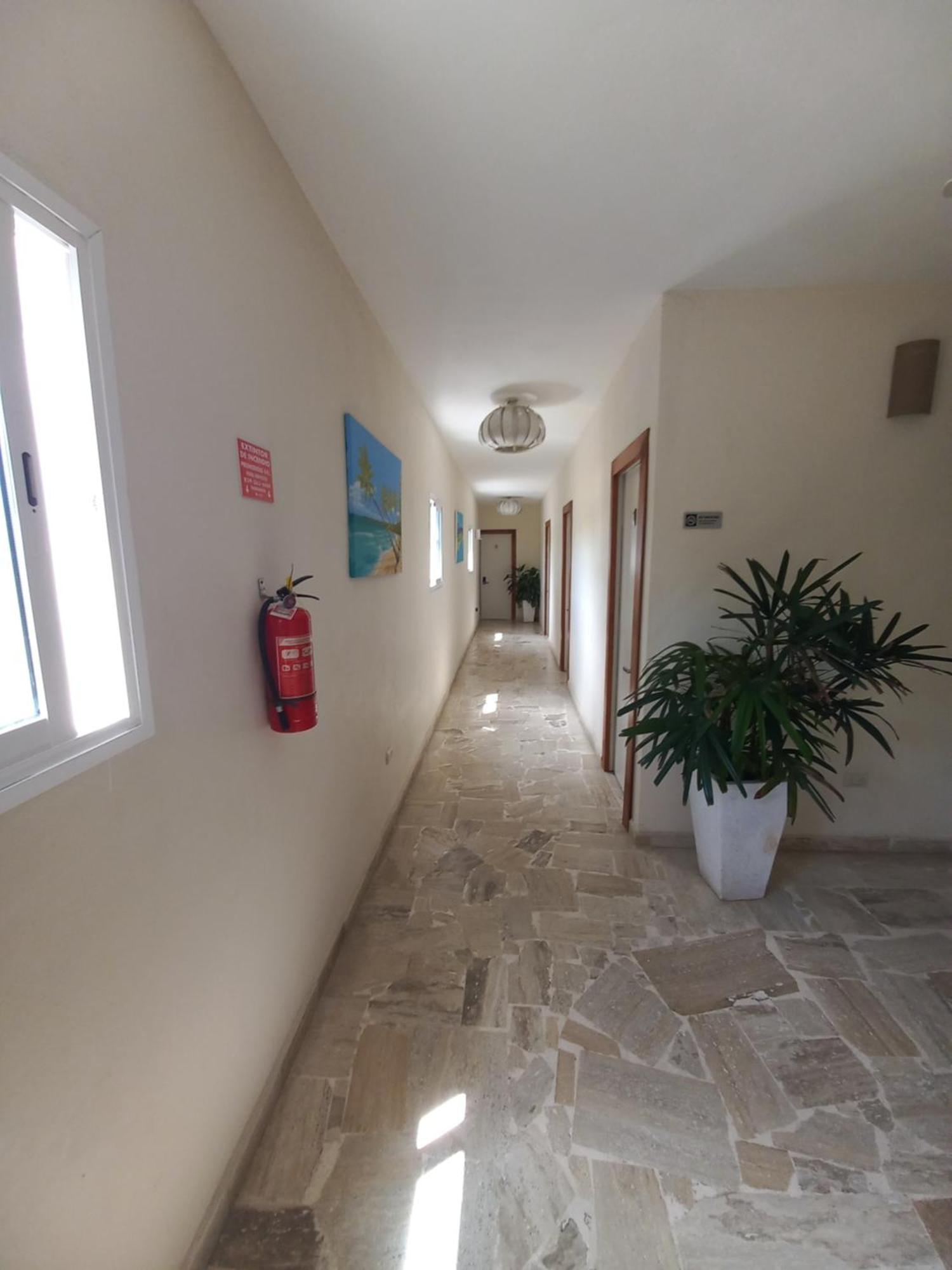Hotel Casa Olga Las Terrenas Exterior photo